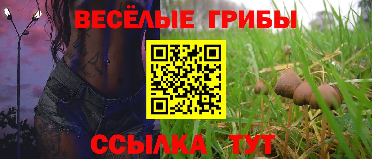 Псилоцибиновые грибы Cubensis  Вход с VPN  Казань 
